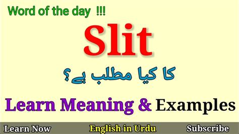 slits meaning in urdu|slit meaning in urdu .